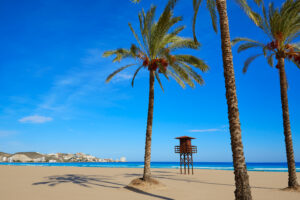 Comida india Playa El Albir-PLAYA
